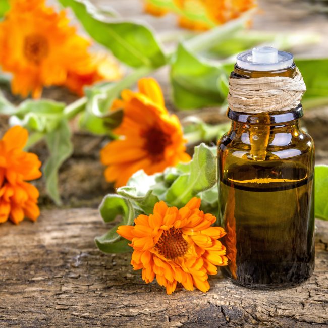 Homöopathie_petra kalks_heilpraktikerin